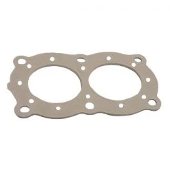 SIERRA Internal Engine 18-3841-2 Head Gasket For Johnson/Evinrude Outboard Motors