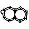 SIERRA Internal Engine 18-3852 Head Gasket For Chrysler Force Outboard Motors -Cheap Boat Engine Parts Store 10508810 LRG