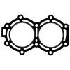 SIERRA Internal Engine 18-3856 Head Gasket For Chrysler Force Outboard Motors -Cheap Boat Engine Parts Store 10508851 LRG
