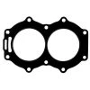 SIERRA Internal Engine 18-2954 Head Gasket For Johnson/Evinrude Outboard Motors -Cheap Boat Engine Parts Store 6820716 LRG